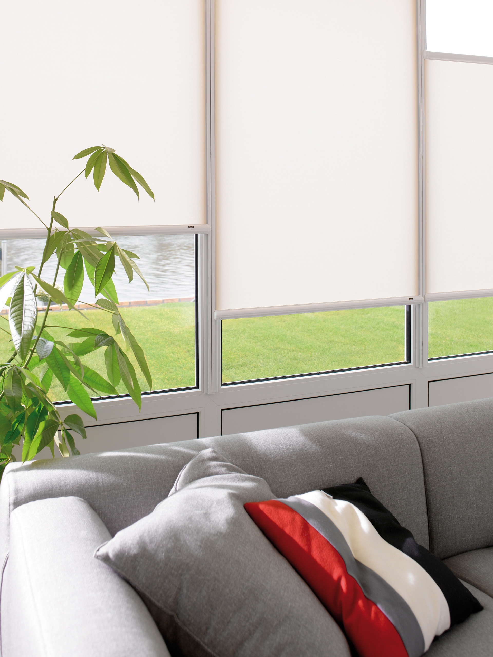 Cortinas roller en oficina corporativa